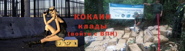 крисы Белоозёрский