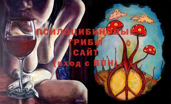крисы Белоозёрский
