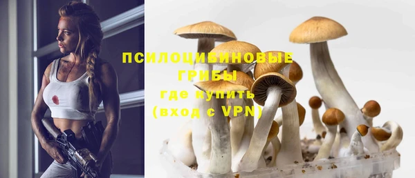тгк Беломорск