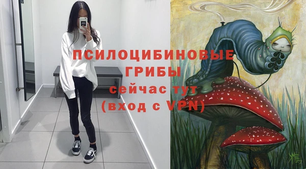 ГАЛЛЮЦИНОГЕННЫЕ ГРИБЫ Каменск-Шахтинский