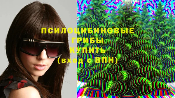 тгк Беломорск