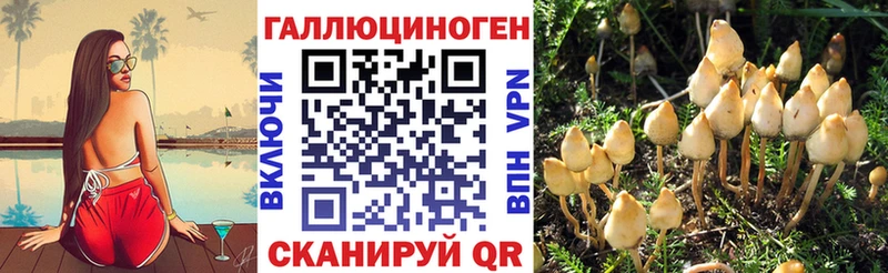 darknet как зайти  Володарск  Псилоцибиновые грибы Psilocybine cubensis 